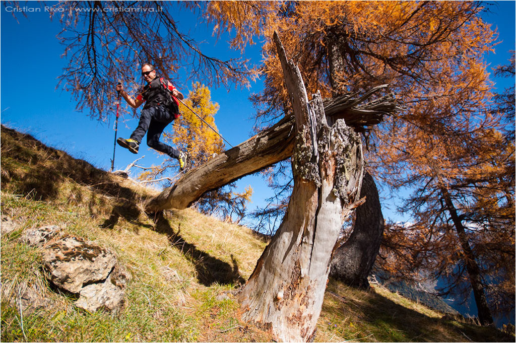 Tra i larici di Monte Colle