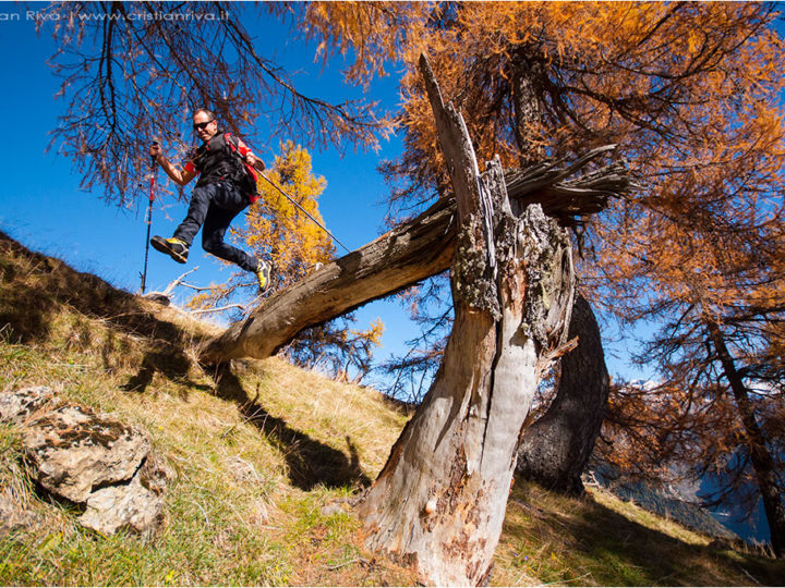 Monte Colle ed i larici autunnali