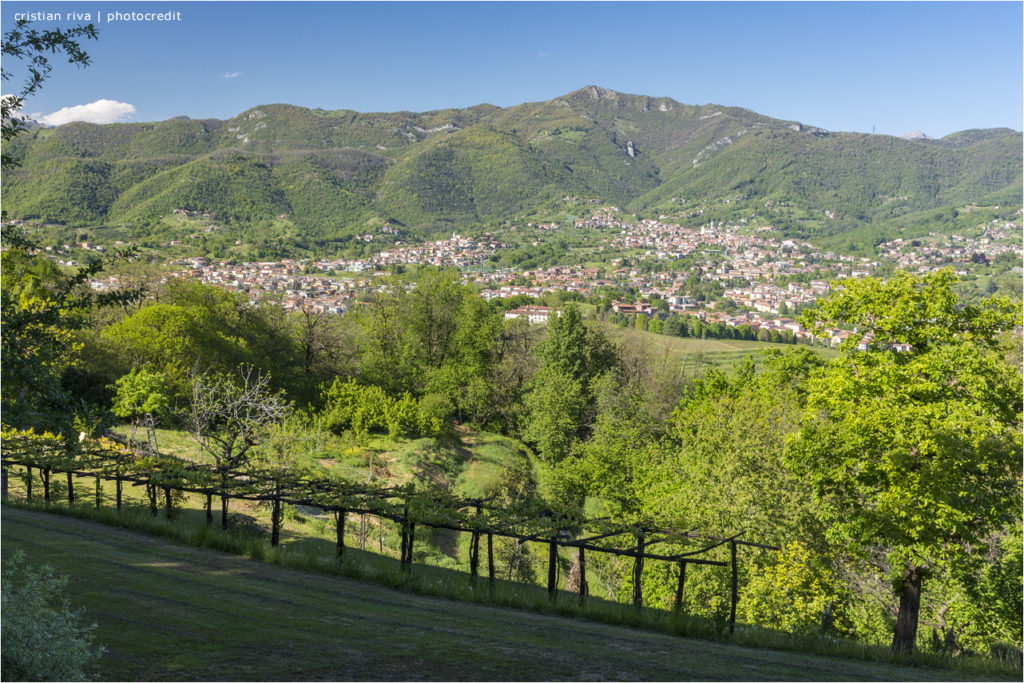 Bergamo - Le vie del Verde