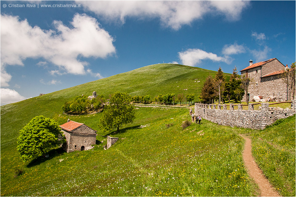 Anello tra i narcisi del monte Linzone