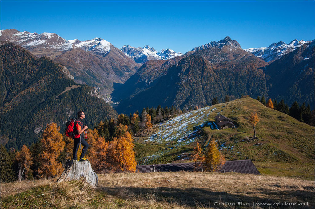 Tra i larici di Monte Colle