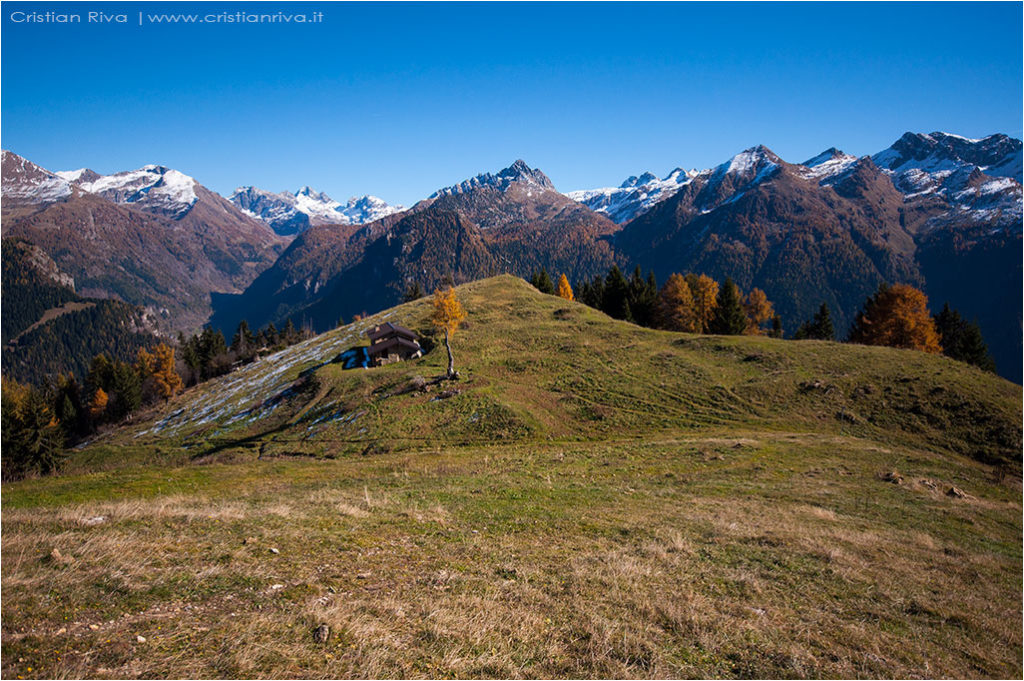 Tra i larici di Monte Colle