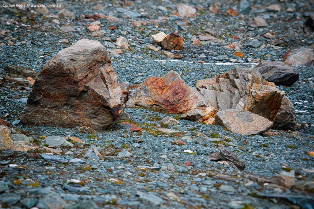 Traversata di Fellaria - Rifugio Carate Brianza