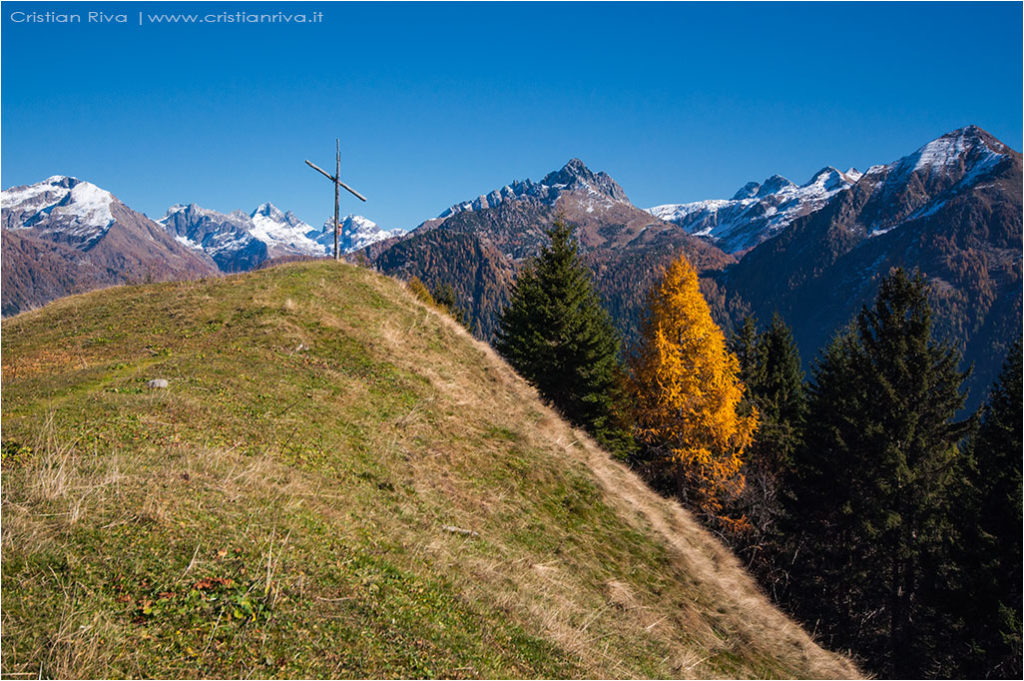 Tra i larici di Monte Colle