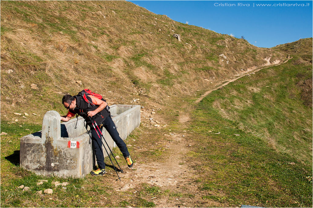 Tra i larici di Monte Colle
