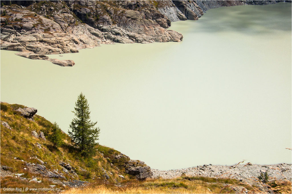 Traversata di Fellaria - Rifugio Carate Brianza