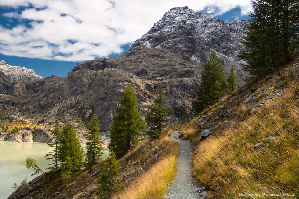 Traversata di Fellaria - Rifugio Carate Brianza