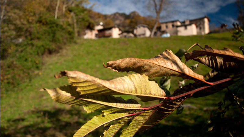 Frazione di Pusdosso