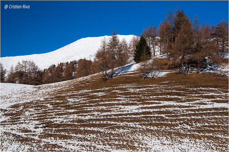 Ciaspolata Monte Frerone