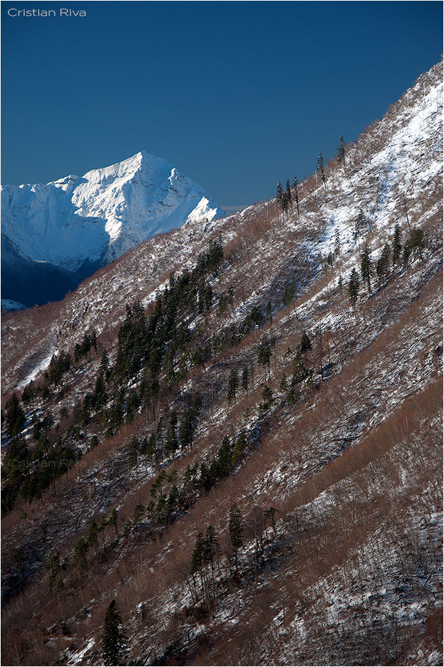 Ciaspolata Alpe Granda