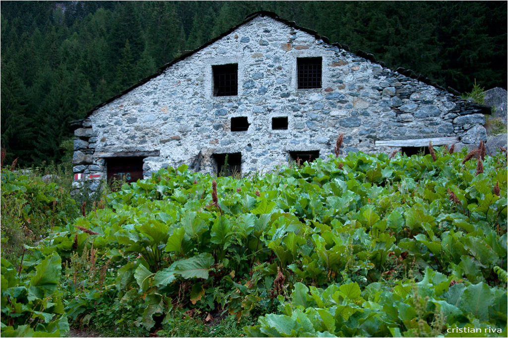 Val Masino - Pizzo Porcellizzo: baita Cortevecchia