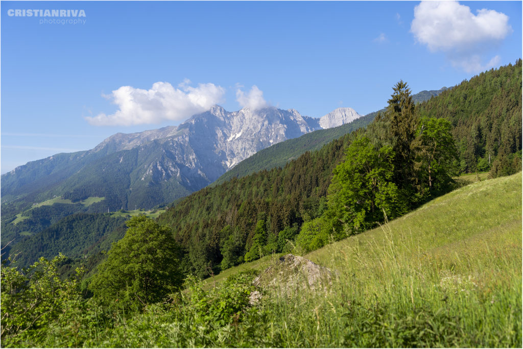 Laghi di Cardeto