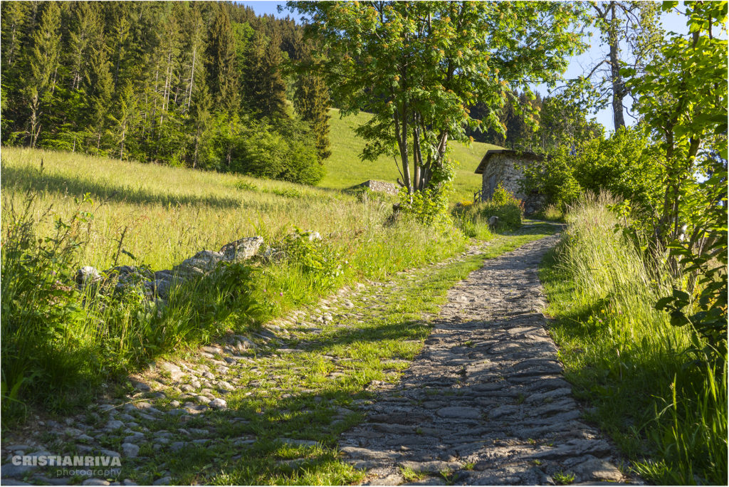 Laghi di Cardeto