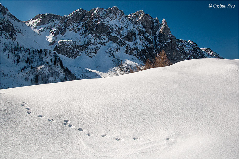 Monte Campioncino