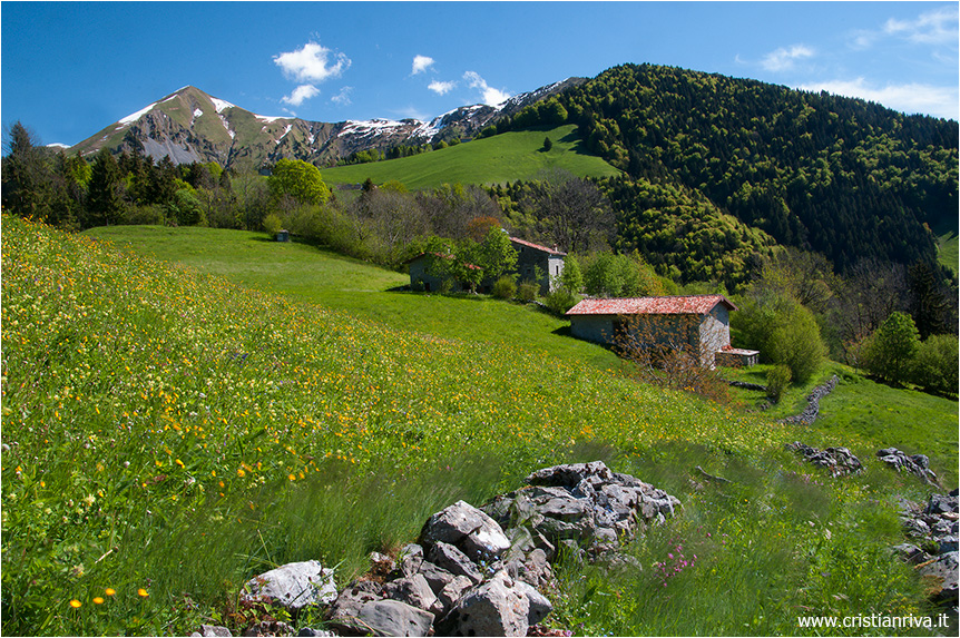 Primavera a Valzurio