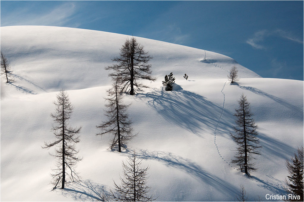 Ciaspolata ai Laghi Gemelli