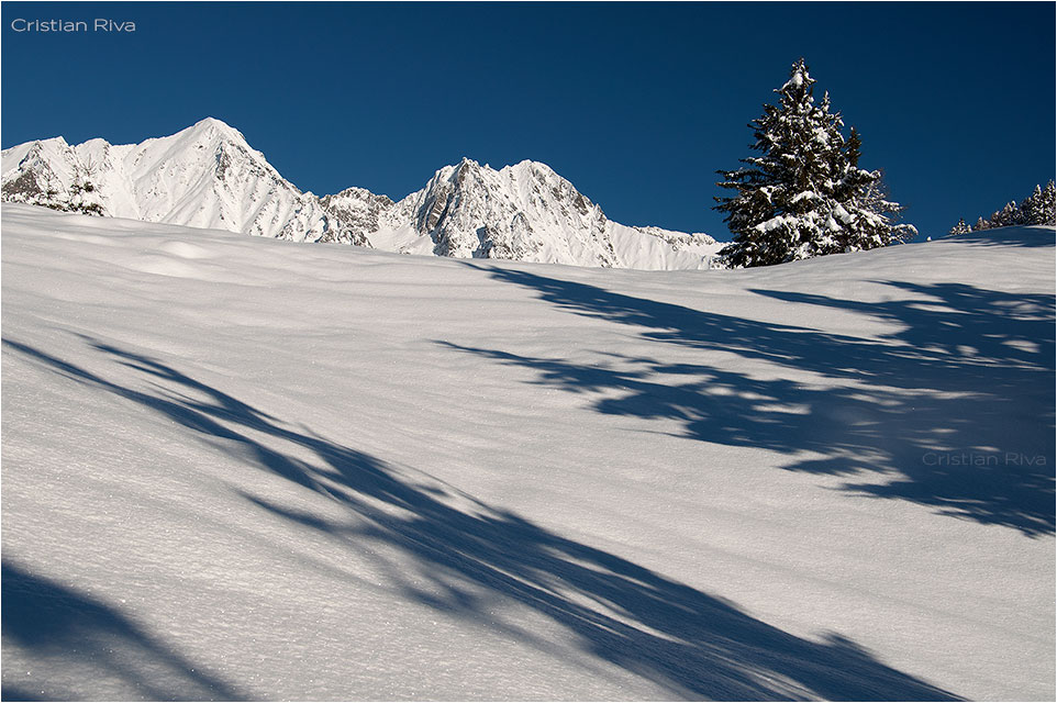 Ciaspolata Alpe Granda