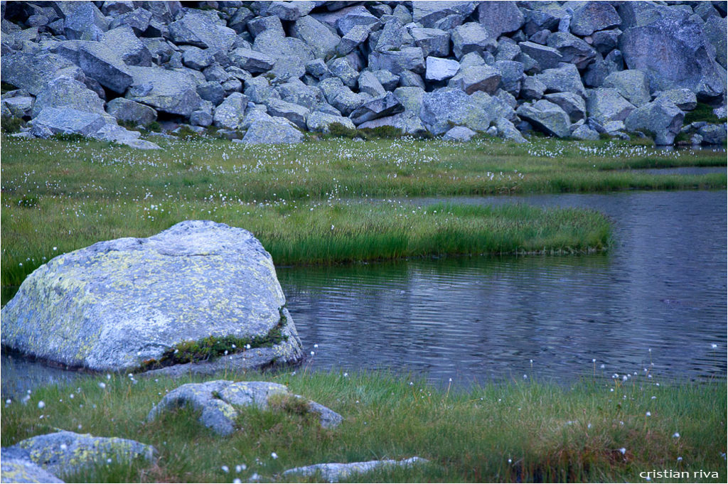 Monte Adamello via Terzulli: il pantano del Miller