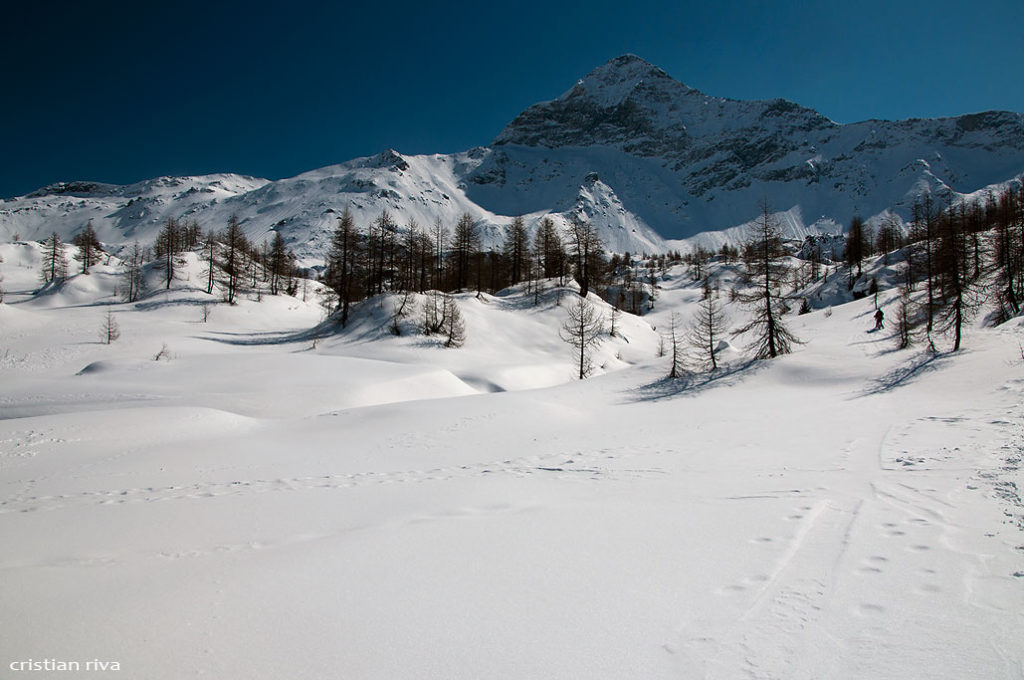 Alpe Prabello, paradiso per le ciaspole: il Pizzo Scalino