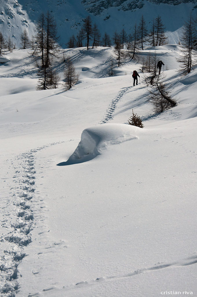 Alpe Prabello, paradiso per le ciaspole