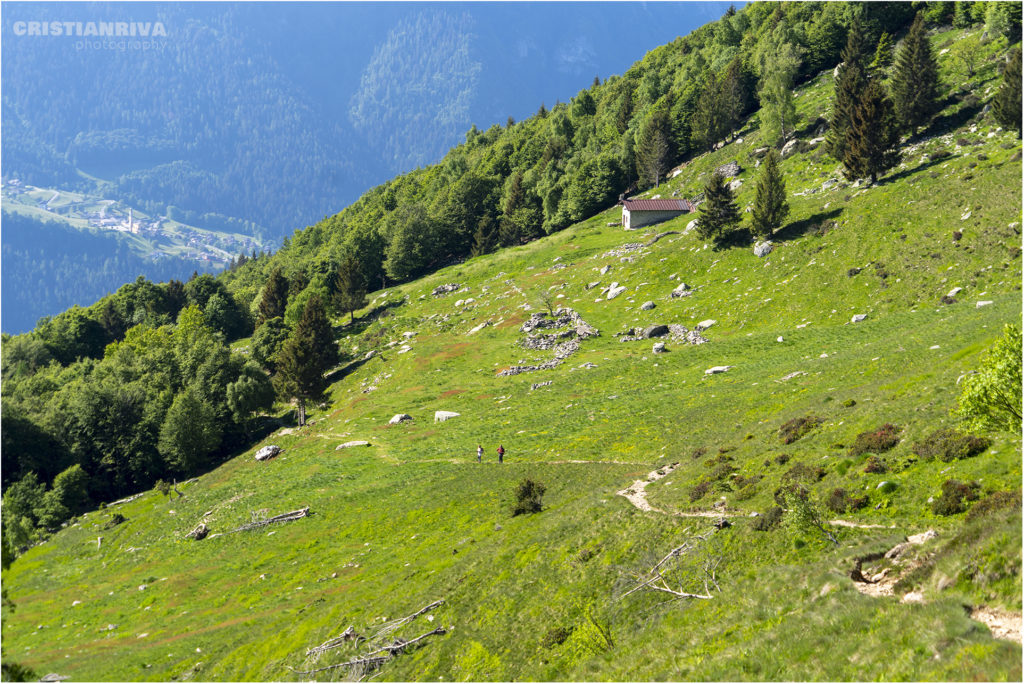 Laghi di Cardeto