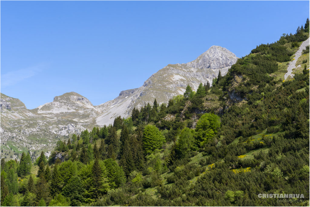 Rifugio Rino Olmo da Valzurio