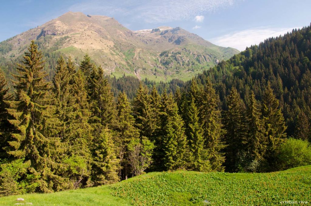 Pizzo di Petto e Vigna Vaga: Vigna Soliva