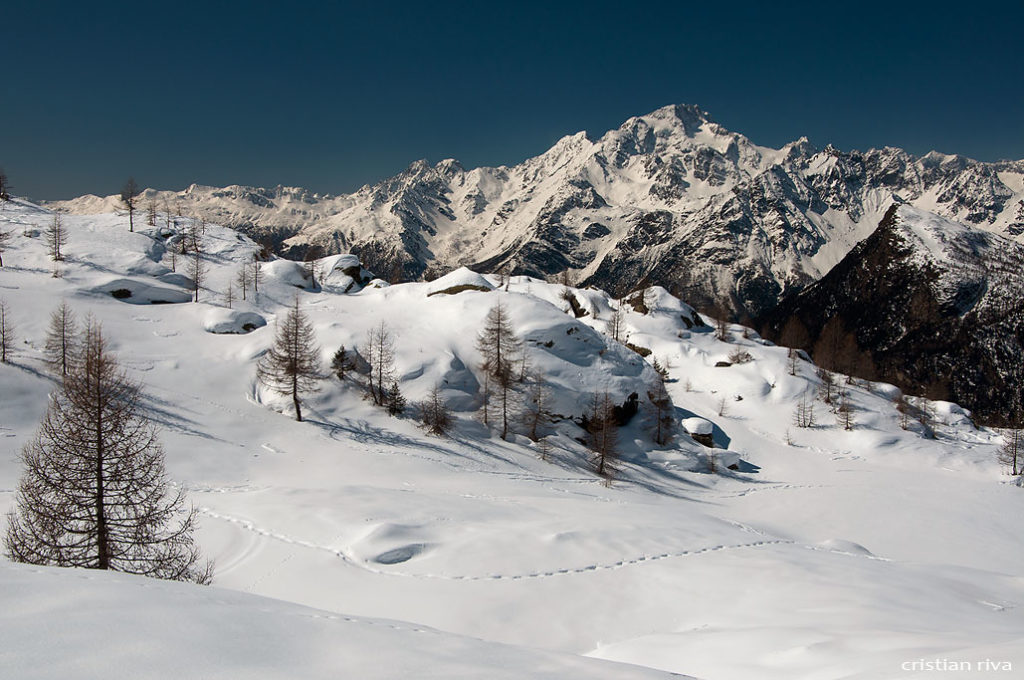 Alpe Prabello, paradiso per le ciaspole: monte Disgrazia