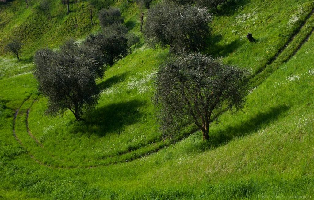 Antica strada Valeriana: percorso tra gli ulivi