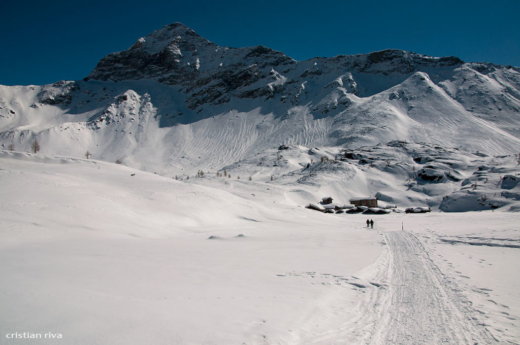 Alpe Prabello, paradiso per le ciaspole: il pizzo Scalino
