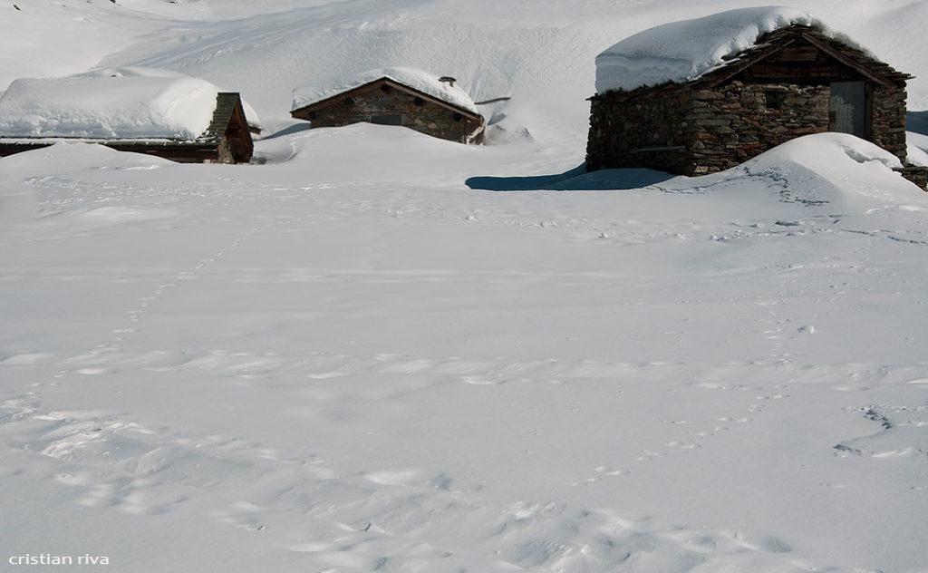 Alpe Prabello, paradiso per le ciaspole: le baite dell'alpe Prabello