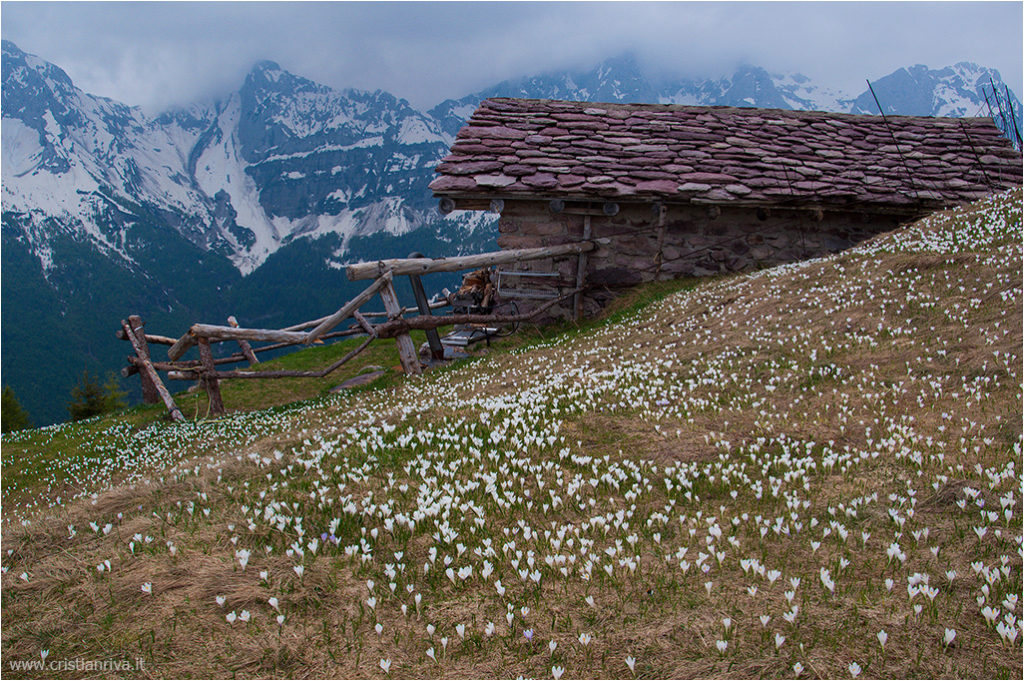 Monte Campagano