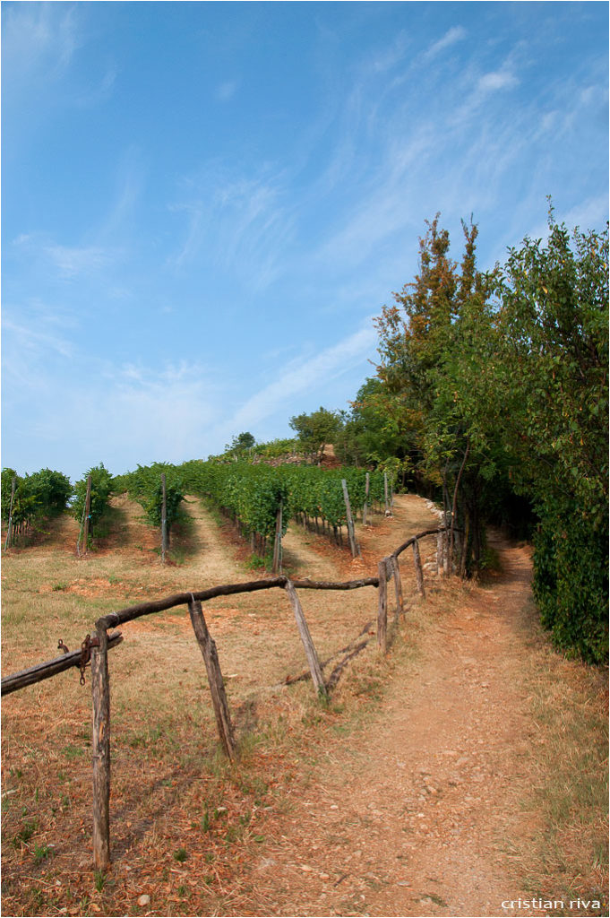 Monte Orfano: La Cascina Genovesina oggi trattoria Genuisì