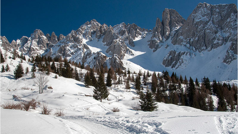 Monte Campioncino con le ciaspole