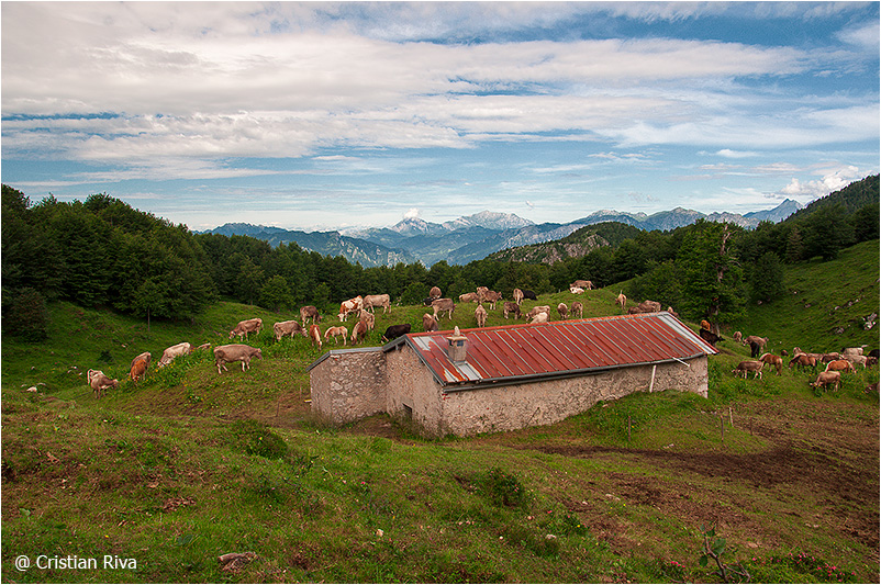 Monte Alben