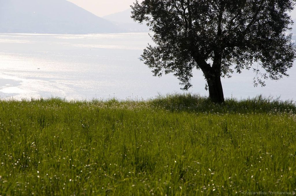Antica strada Valeriana