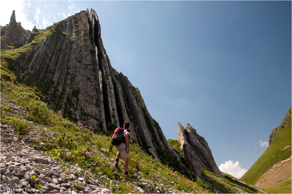 Monte Pegherolo: canne d'organo