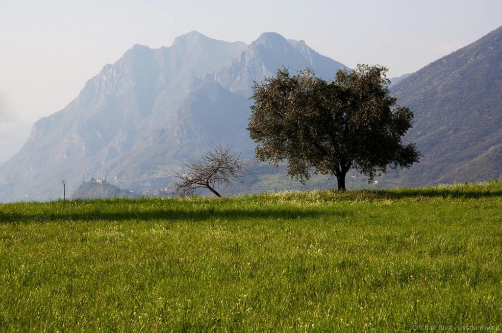 Antica strada Valeriana