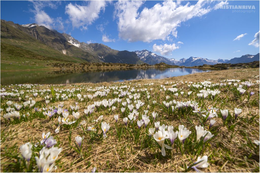 Laghi di Cardeto
