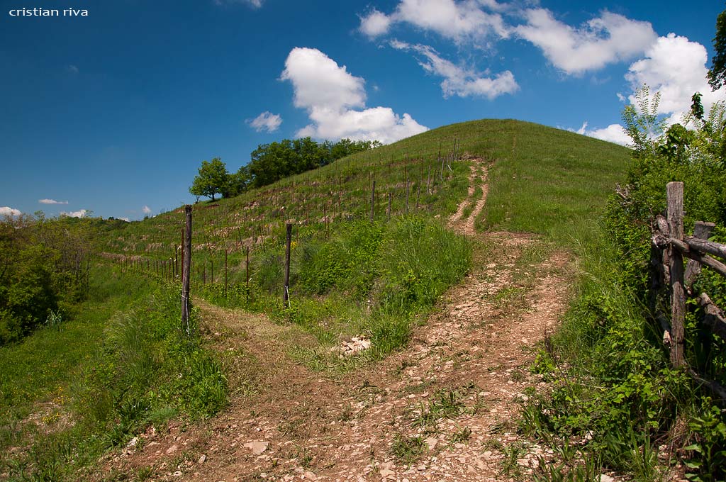 Parco di Montevecchia e Valle del Curone