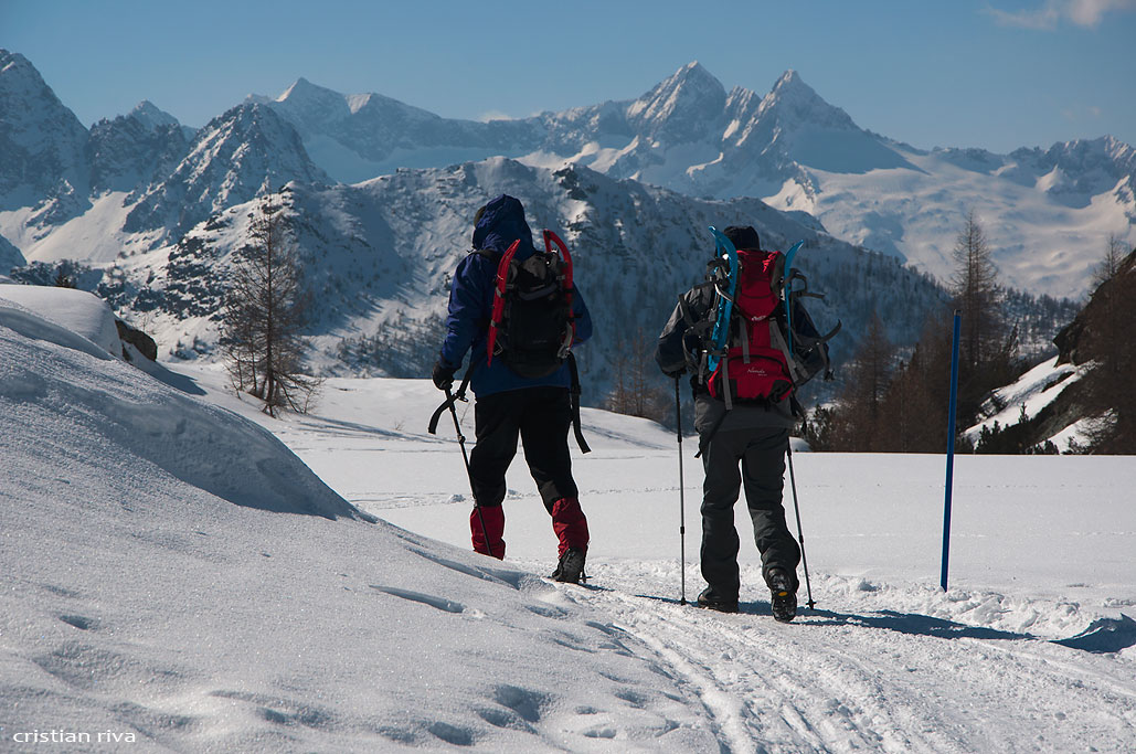 Ciaspolata all'alpe Prabello