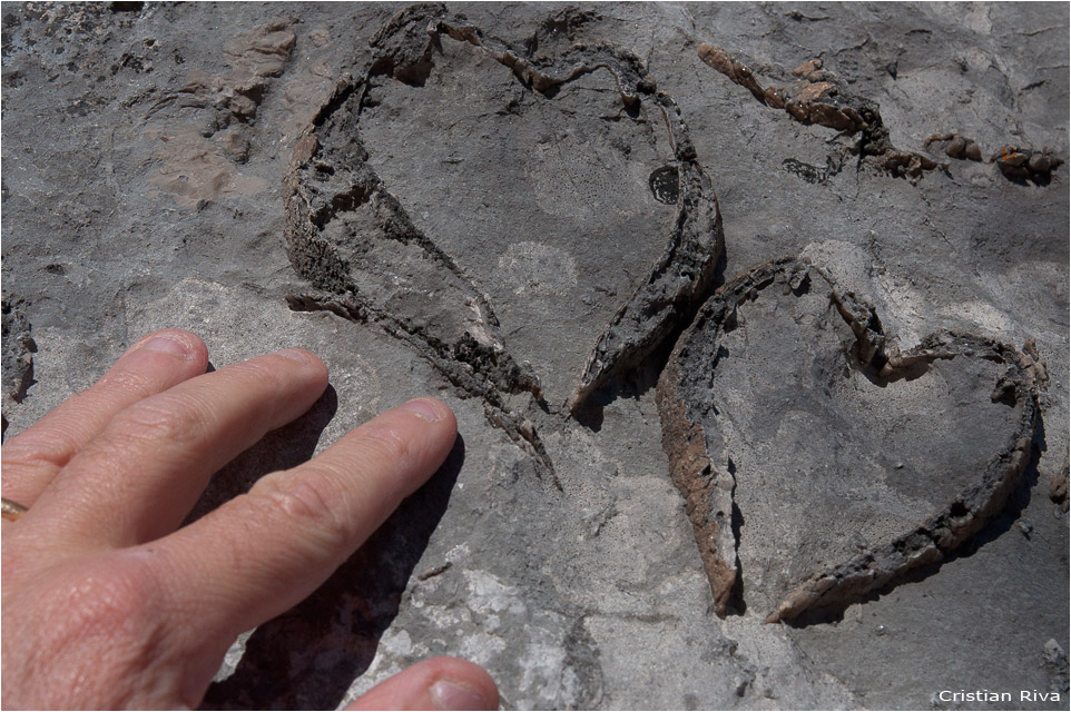 Riserva Naturale Sasso Malascarpa - Sentiero geologico Giorgio Achermann