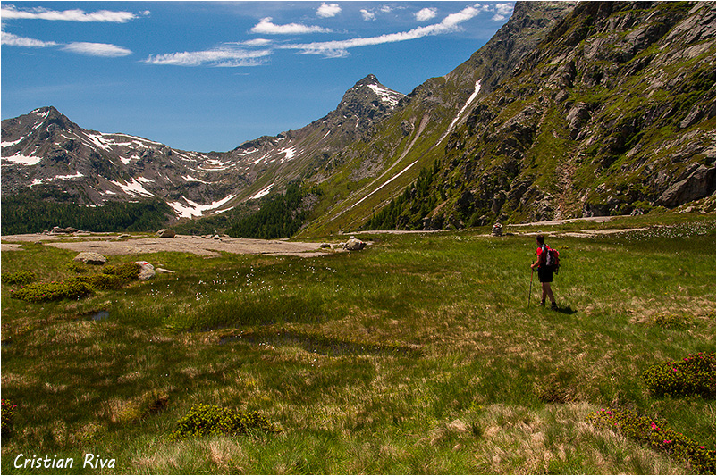 Valle Drogo - Lago Truzzo - Alpe Lendine