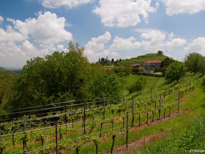 Parco di Montevecchia e Valle del Curone