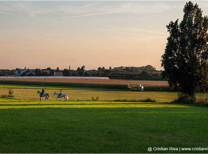 Sentiero Ilaria nel parco dei Colli