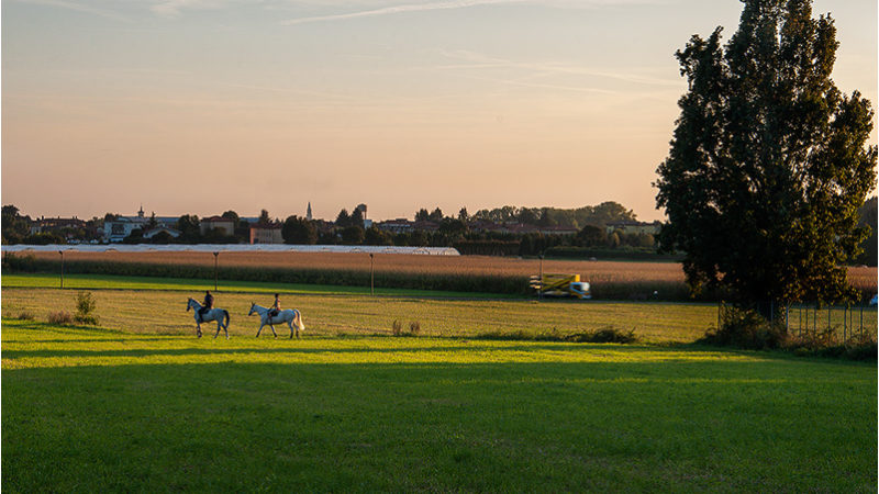Sentiero Ilaria nel parco dei Colli
