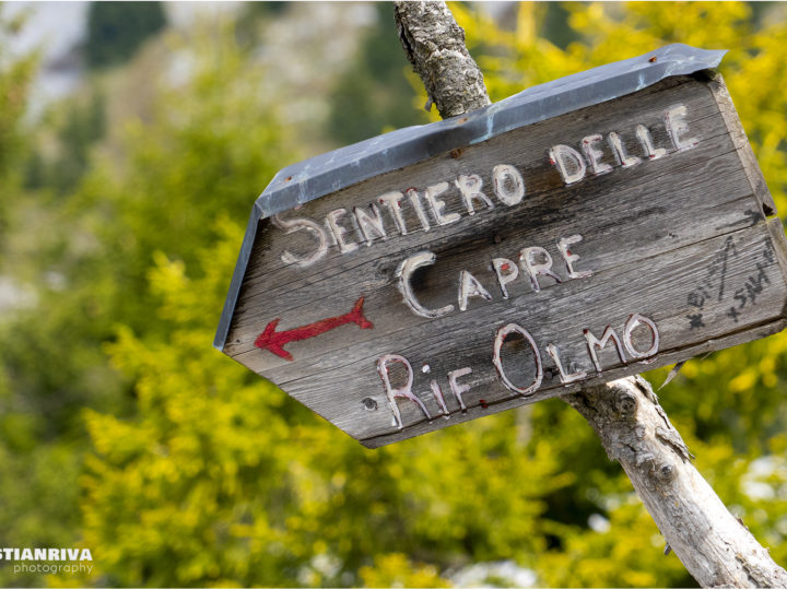 Pizzo Corzene dal Sentiero delle Capre