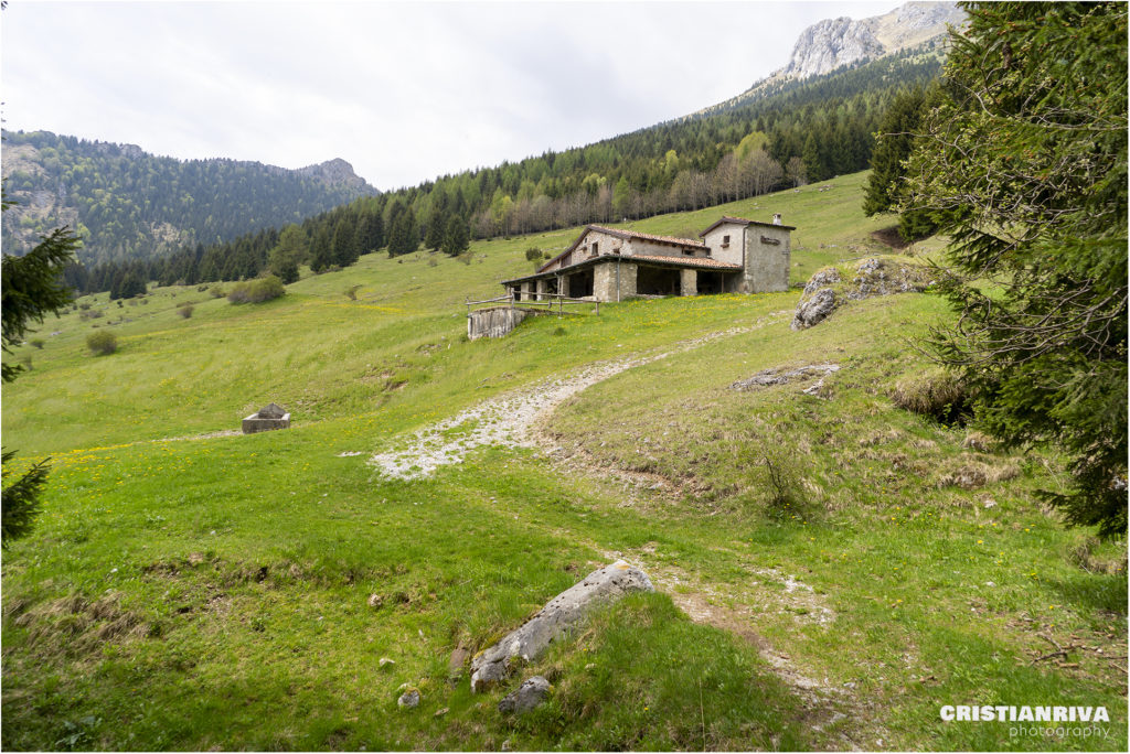 Pizzo Corzene dal sentiero delle capre: malga Corzenina