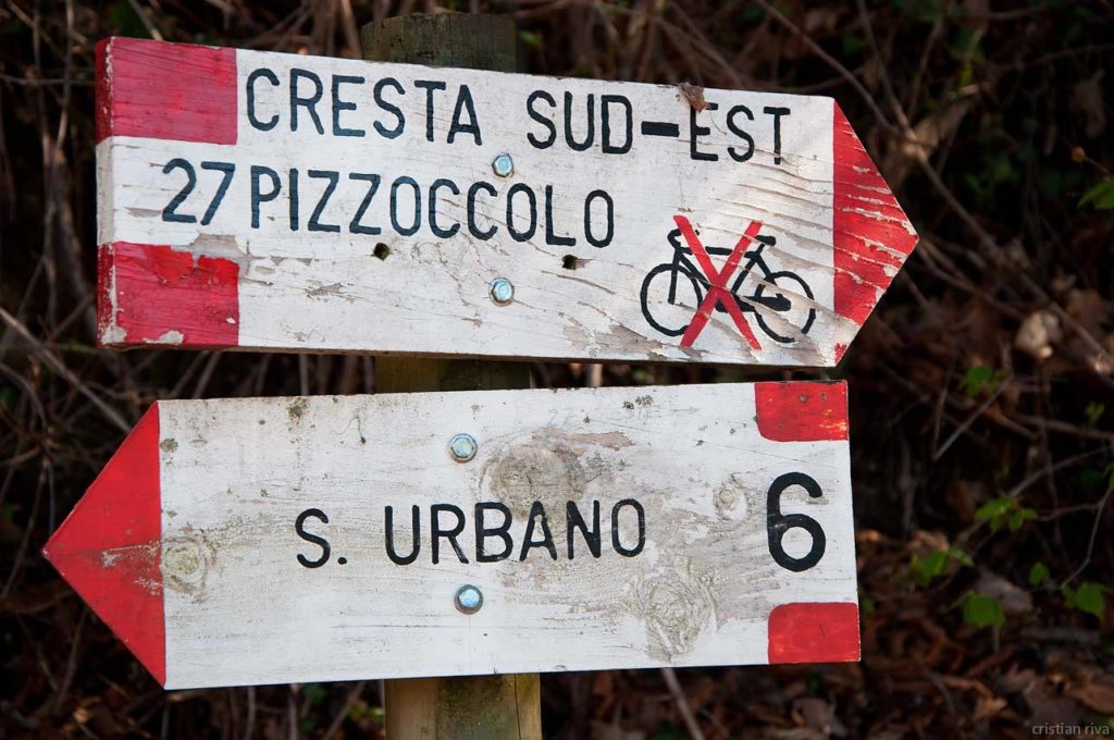 Monte Pizzoccolo dalla Cresta Sud: indicazioni