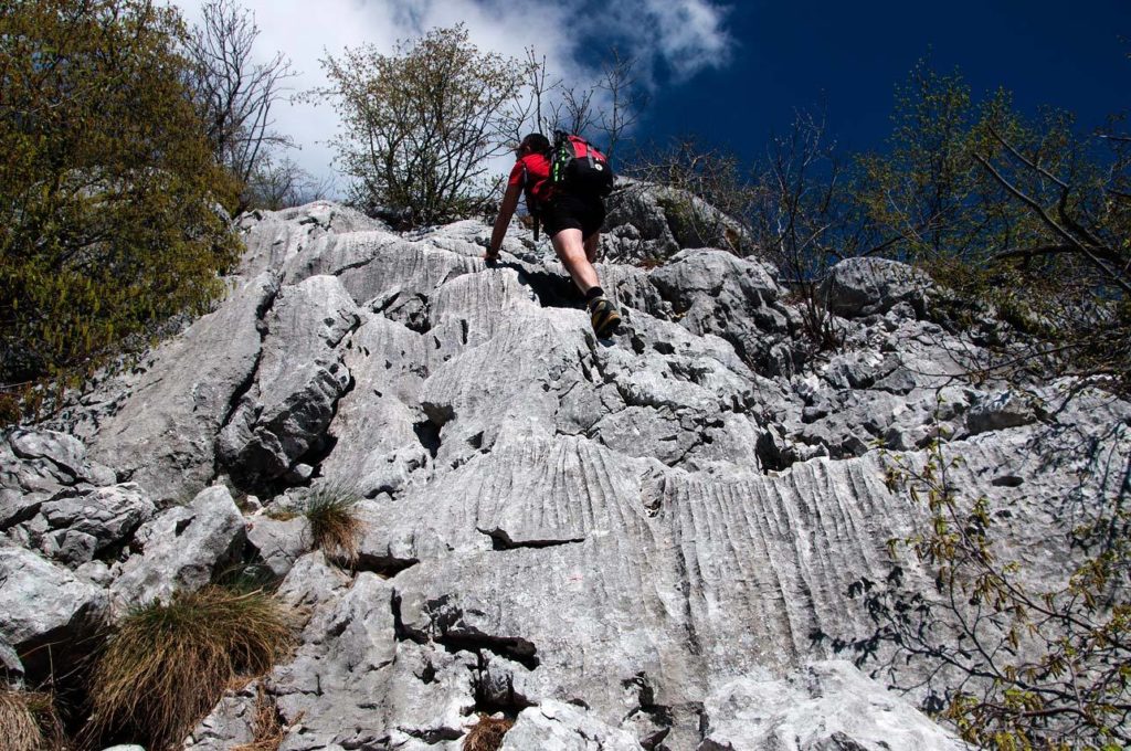 Monte Pizzoccolo dalla Cresta Sud: facili roccette